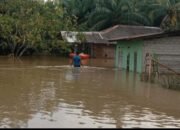 Tanggul Sungai Asahan Jebol Kembali, Rumah Warga dan Lahan Pertanian Terendam Banjir