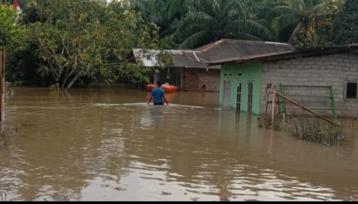 Tanggul Sungai Asahan Jebol Kembali, Rumah Warga dan Lahan Pertanian Terendam Banjir