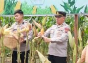 Polda Bali Siap Gelar Panen Raya Jagung Serentak Kuartal IV 2026