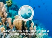 Bali Ocean Days 2026 Angkat Tema Navigating Solutions for a Regenerative Ocean Future