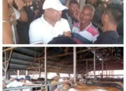 Bupati Bireuen Pastikan Stok Ternak Aman Jelang Ramadhan