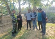 KORAMIL 11/BANDAR BARU KODIM 0102/PIDIE LAKSANAKAN KOMSOS DI DESA ARAA