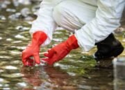 Penanganan Dugaan Pencemaran Lingkungan oleh Pihak Perusahaan PT. Universal Gloves di Patumbak-Deli Serdang Terus Menuai Sorotan Tajam dari Ombudsman RI Perwakilan Provinsi Sumut