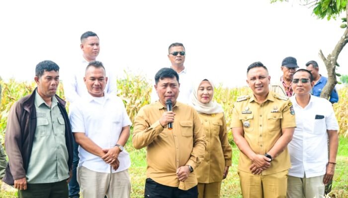 Panen Jagung di Desa Saentis-Deli Serdang Melonjak, Wakil Bupati Deli Serdang Soroti Pentingnya Data untuk Hilirisasi