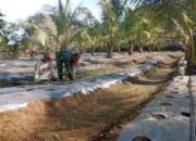 Babinsa Koramil 11/Bandar Baru Intensifkan Komsos dan Dampingi Petani Cabai di Desa Tanoh Mirah