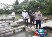 Kapolres Subulussalam AKBP Muhammad Yusuf, S.I.K Tunjukkan Aksi Nyata! Bersama Walikota Panen Raya Lele, Bukti Polisi Hadir untuk Ketahanan Pangan Rakyat