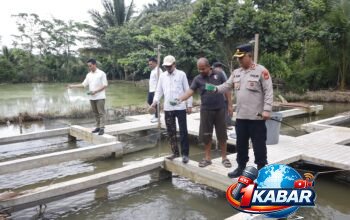 Kapolres Subulussalam AKBP Muhammad Yusuf, S.I.K Tunjukkan Aksi Nyata! Bersama Walikota Panen Raya Lele, Bukti Polisi Hadir untuk Ketahanan Pangan Rakyat