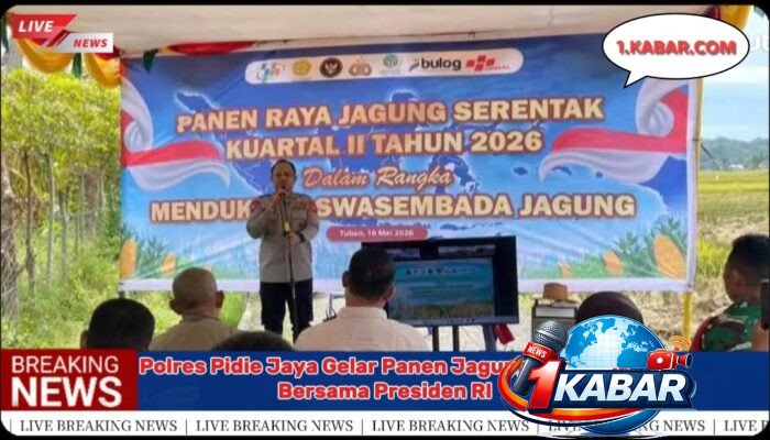 Polres Pidie Jaya Gelar Panen Raya Jagung Serentak Bersama Presiden RI, Wujud Dukungan Ketahanan Pangan Nasional